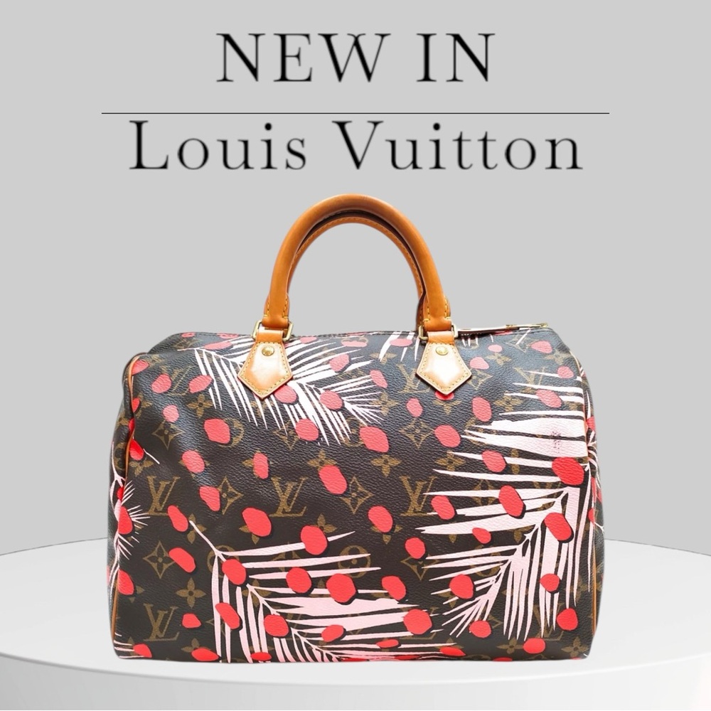 Louis Vuitton LV Hand Bag  Speedy 30 Brown JungieDot 3263527